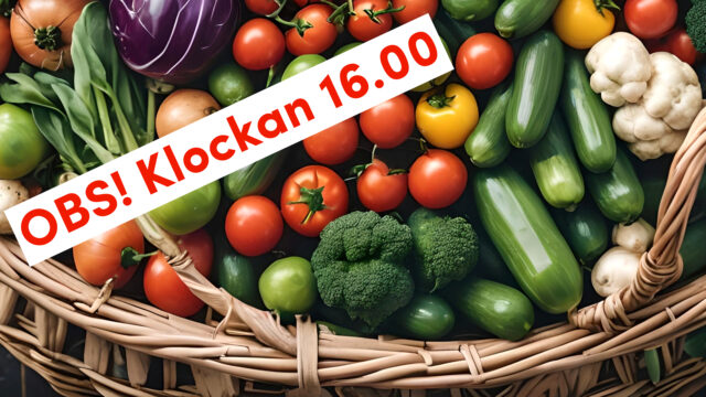 Tacksägelsegudstjänst & skördefest