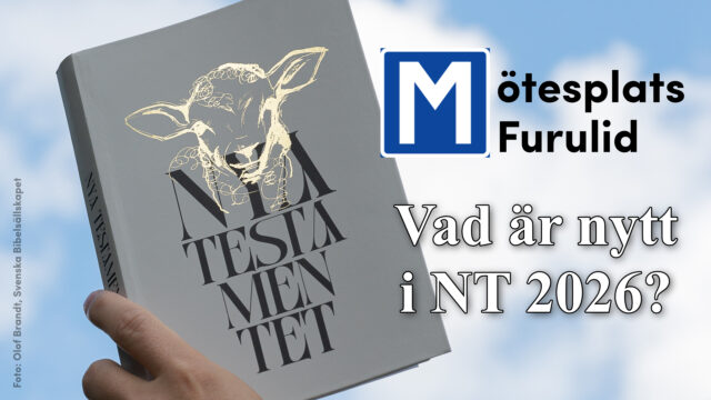 Mötesplats Furulid