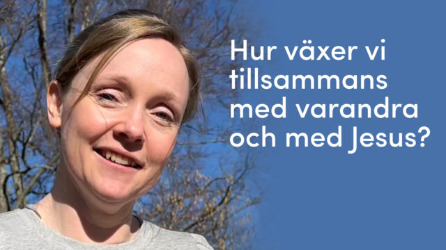 Tillsammasdag